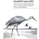 Status and Harvests of Sandhill Cranes, 2023