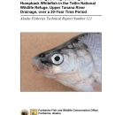 Trends in Length, Weight, and Age of Humpback Whitefish in the Tetlin National Wildlife Refuge, Upper Tanana River Drainage, over a 20-Year Time Period.pdf