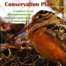 American Woodcock Conservation Plan