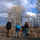 locals look for birds in the cottonwood trees in the distance with a cloudy, blue sky.