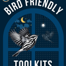 Bird friendly toolkits graphic