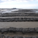 Aquaculture Racks on Tidal Flats