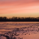Sunset at DeSoto National Wildlife Refuge