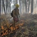 Profile photo for Alyvia Wright