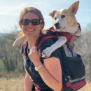 A caucasian woman hiking in an autumn landscape, carrying a brown and white dog on her back in a backpack.