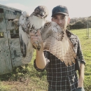 A man wearing a baseball hat stands outside holding a hawk up in his right hand 