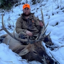 Chase Kozlowski with a downed bull elk on a snow covered ground