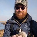 Bird biologist holding leg-banded goose, with tundra background