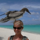 a woman on a beach with a large bird standing on her head