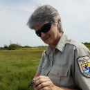 Cindy Phillips, Administrative Support Assistant, delicately holds a saltmarsh sparrow being prepared for release after having been banded. In the background a lush green saltmarsh can be seen. 