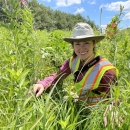 Dawn Marsh, USFWS biologist surveying for RPBB 