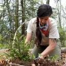 Female biologist kneels in a forest while planting a tree