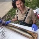 Female biologist measures an American eel using a wooden fish-measuring board