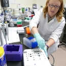 Woman in lab processing eDNA samples.