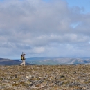 Man walking on tundra