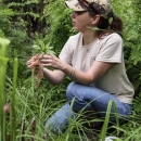Female biologist kneeling among pitcher plants, holding swamp pink