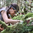 Female biologist sitting on forest floor searching through moss