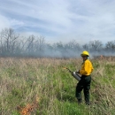 biologist in field assisting with prescribed burn