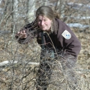Refuge biologist, Kate O'Brien, peers out of a shrubby thicket looking for New England cottontail at Rachel Carson National Wildlife Refuge. She wears a brown USFWS uniform and has binoculars in hand.