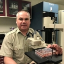 Biologist looks at fish samples through microscope