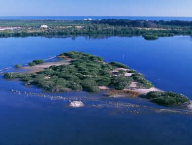 Aerial view of a small island with sand and green vegetation on it, surrounded by deep blue water