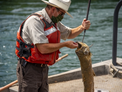 a man in a boat on a river holds a hook with a dead salmon on it.