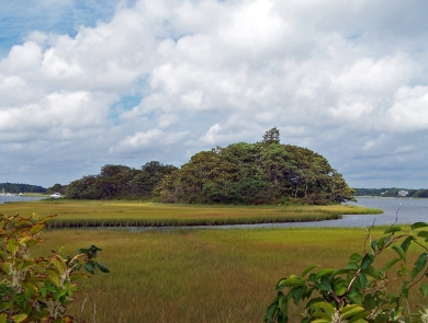 Wetland at Mashpee NWR
