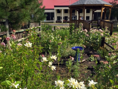 In the foreground, a bush blooms with white flowers. Mid-ground, a blue bird bath stands inside a garden surrounded by wooden fencing. In the background, a gazebo is near the garden, and the hatchery main building is beyond.