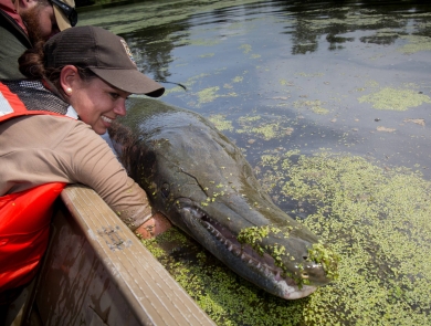 woman holding an alligator gar boatside