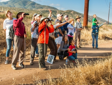 Visitors on a ranger-led hike point and react to a wildlife sighting at San Diego National Wildlife Refuge.