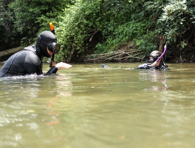 Two snorkelers in a river, heads above water, conversing