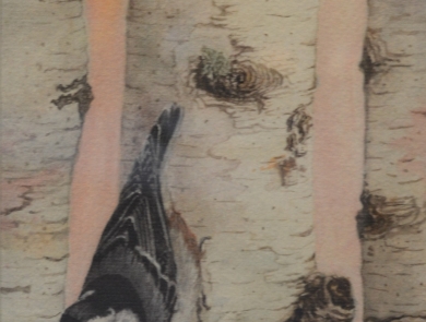 Image of a watercolor painting of a white-breasted nuthatch perched upside-down on the trunk of a birch tree