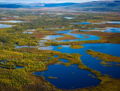 aerial view of sprawling wetlands with hills in the background