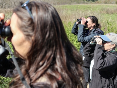 Three people in a field, holding binoculars to their eyes
