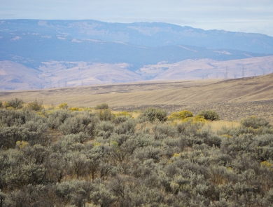 Sagebrush covered hills and distant mountains