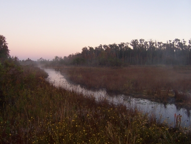Sunrise over the Okefenokee Swamp.