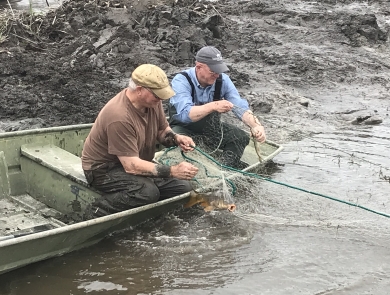 Two men in a boat pull in a net from the water at the edge of a muddy bank. The net has one fish caught in it.