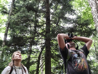 Two people standing in a forest looking up, one using binoculars