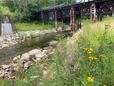 A river runs from upper right to lower left and is bordered by green trees on one side and wildflowers on the other. An old train bridge is in the background.
