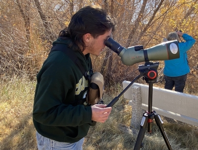 Man looking through scope to find birds