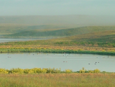 Prairie Wetland