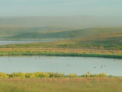 Prairie Wetland