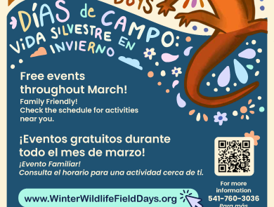 Winter Wildlife Field Days flyer with newt, partners and contact information