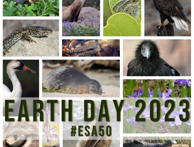 2023 Earth Day collage of animals and Service's logo in the bottom right corner.