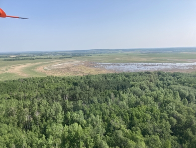 Aerial view of a landscape with forest and wetlands 