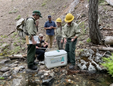 a group of five people stand around a cooler holding frogs next to a stream. One person is holding a frog that will be released into the creek. 