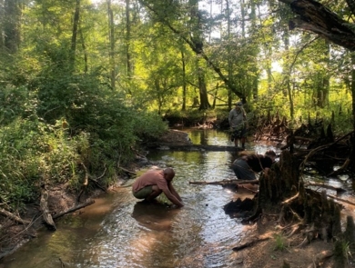Freshwater mussel survey in southeast Georgia