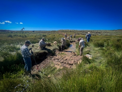 people working along a streambank in a field of sagebrush with big, blue sky