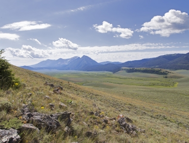 A vast valley of grassland backdropped by mountains in the distance