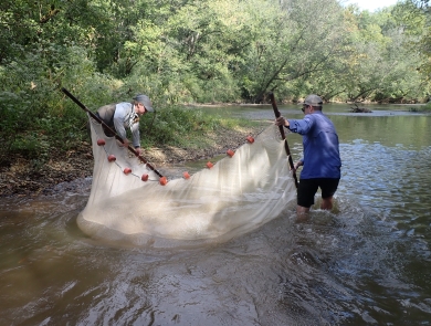 Two people hold a broad net in a river with green vegetation on the banks.